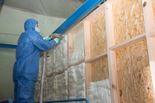 Best Energy-efficient Insulation  in Wright, FL